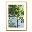 Amalfi Lemon