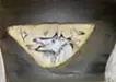 優雅宮犬