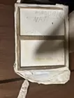 優雅宮犬