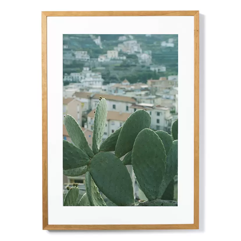 Cactus by Lisa Mogami