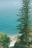 Sea Breeze