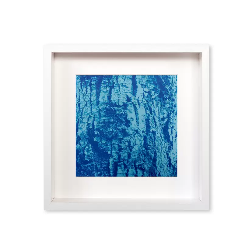 What nature has always done.（W-#7） by Hiroshi Kaki