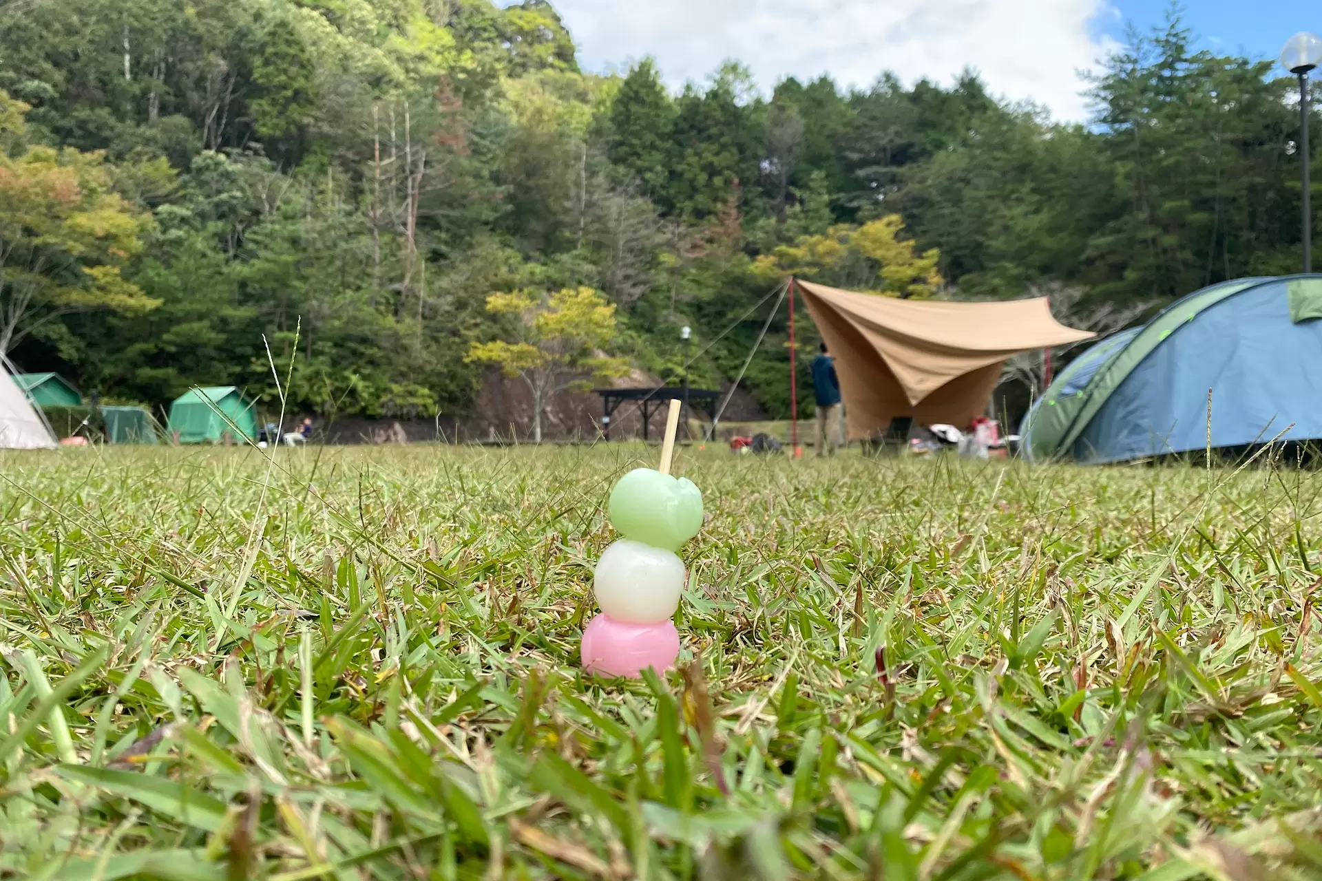 Four color dumplings (green, white, pink, blue)