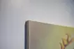 Dani