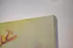 Dani