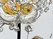 Abstract Single Flower 240720 (Gary x Gold) 
