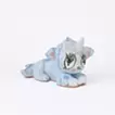 Unico VI
