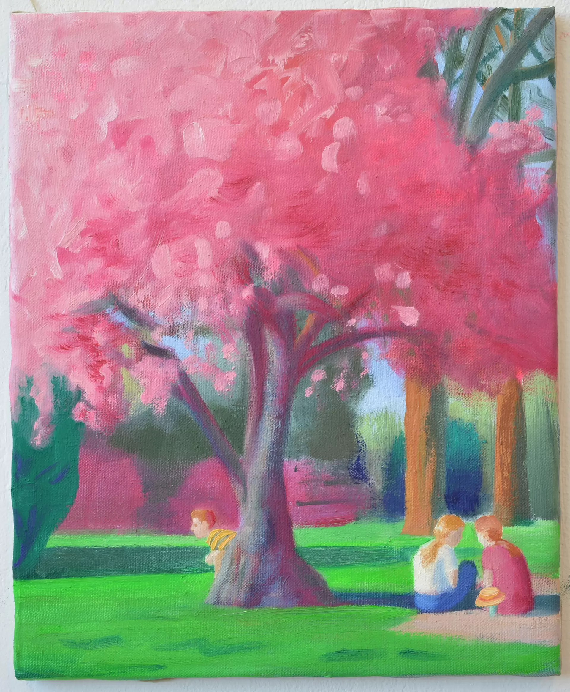 公園の桜の木