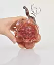 Heart Beat #3