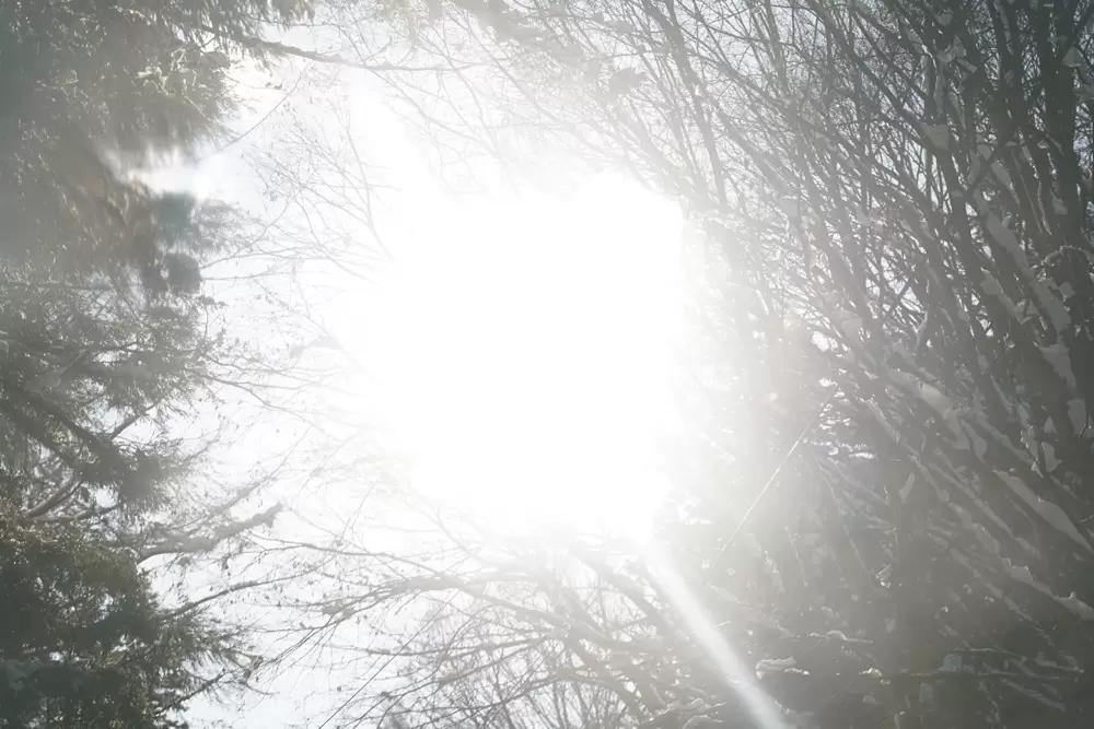 風の道　水の音