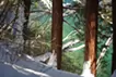 風の道　水の音