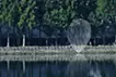 Memories of Water