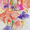 舞动之花 No.94