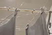 洗濯物の彫刻