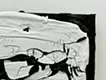 クビヲシメル