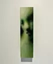 生物之印 I