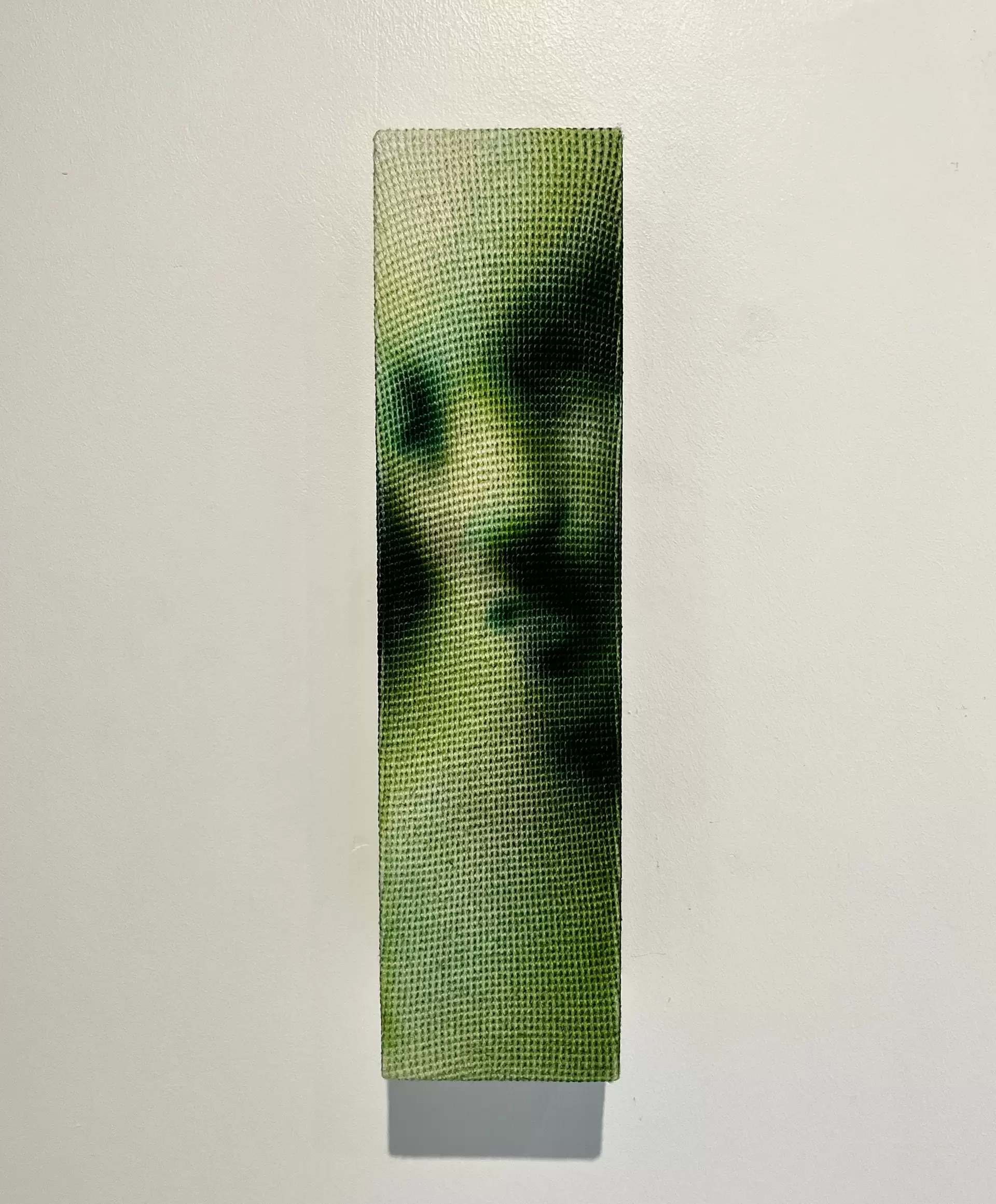 生物之印 I