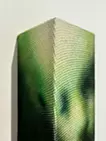 生物之印 I