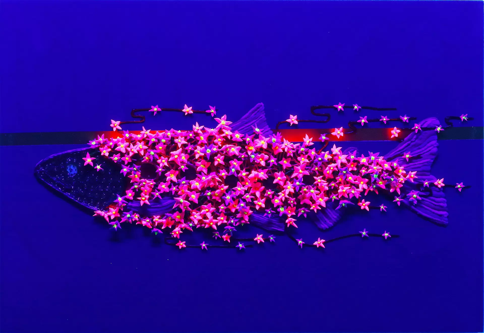 Blossom fish