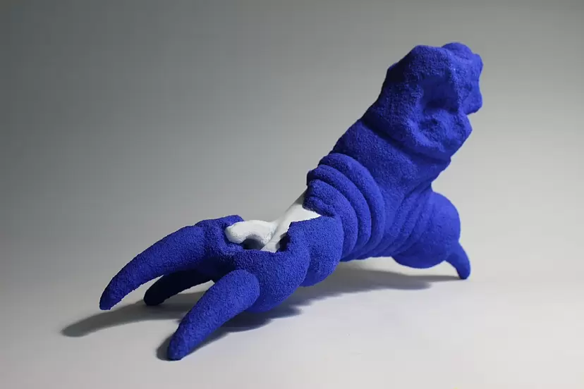 Piece2〈sharp clawed feet〉 by Makiko Horiuchi