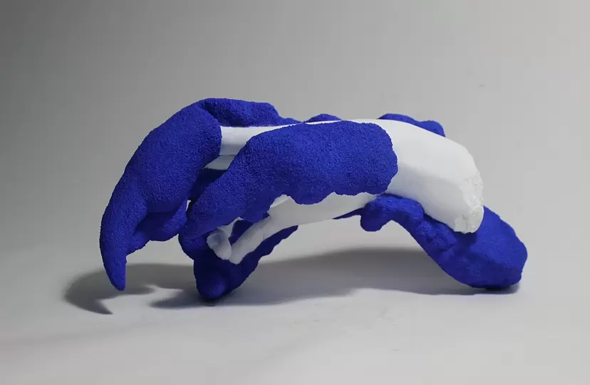 Piece3〈three clawed〉 by Makiko Horiuchi