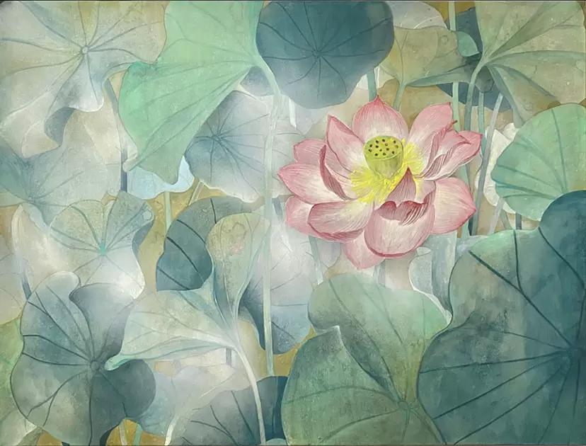 Lotus by Yurine