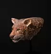 EARTH KEEPERS -ヒョウ-