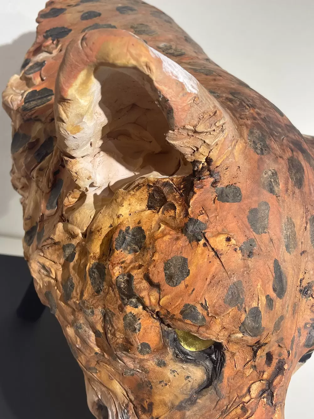 EARTH KEEPERS -ヒョウ- by 瀬戸優 | 現代アートの販売・通販 | ArtSticker