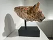 EARTH KEEPERS -ヒョウ-