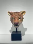 EARTH KEEPERS -ヒョウ-