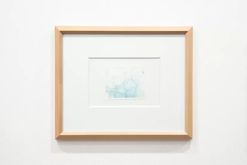 Slime mold print A by 齋藤 帆奈