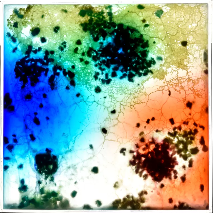 現代アート 描きかけの絵／54x72cm 油彩xキャンバス 2018 ＃現代アート | 大谷太郎