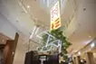 イマジナリー・ファミレス湘南辻堂 テラスモール湘南店