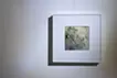 黏膜造影 05