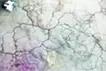 黏膜造影 05