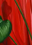 red pot