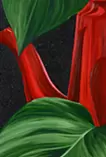 red pot