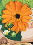 花束
