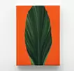 leaf 2