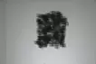 Metabolism 1 Wall Carbon