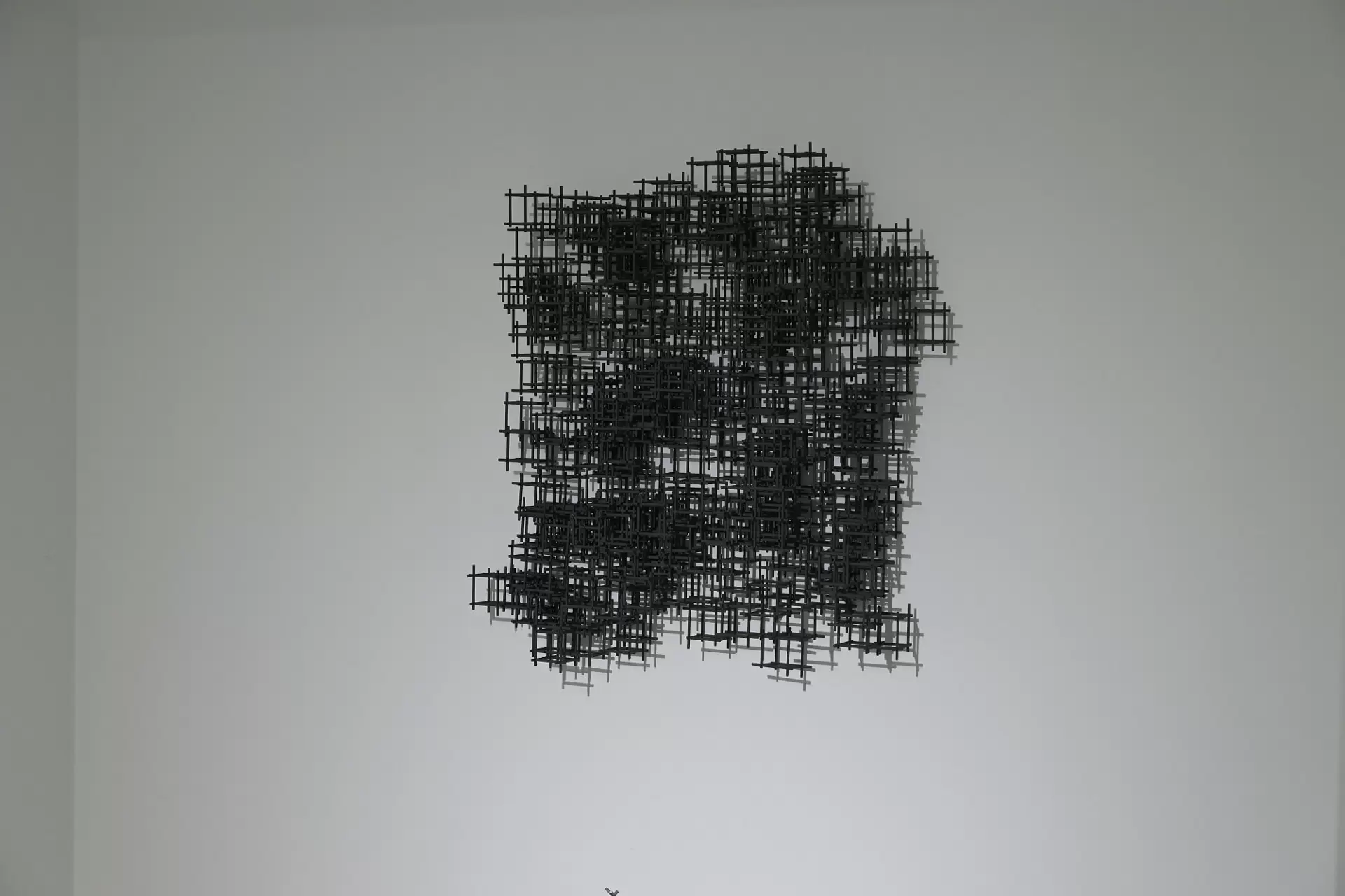 Metabolism 1 Wall Carbon