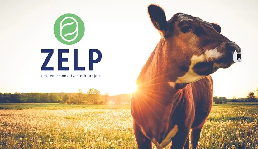 ZELP (Zero Emissions Livestock Project) by Francisco Norris