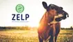 ZELP (Zero Emissions Livestock Project)