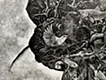 复苏时间：S62_8