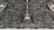 绿星船或树 R5_10A2        
