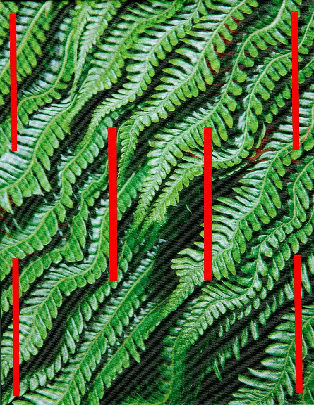 Distorted Impressions1