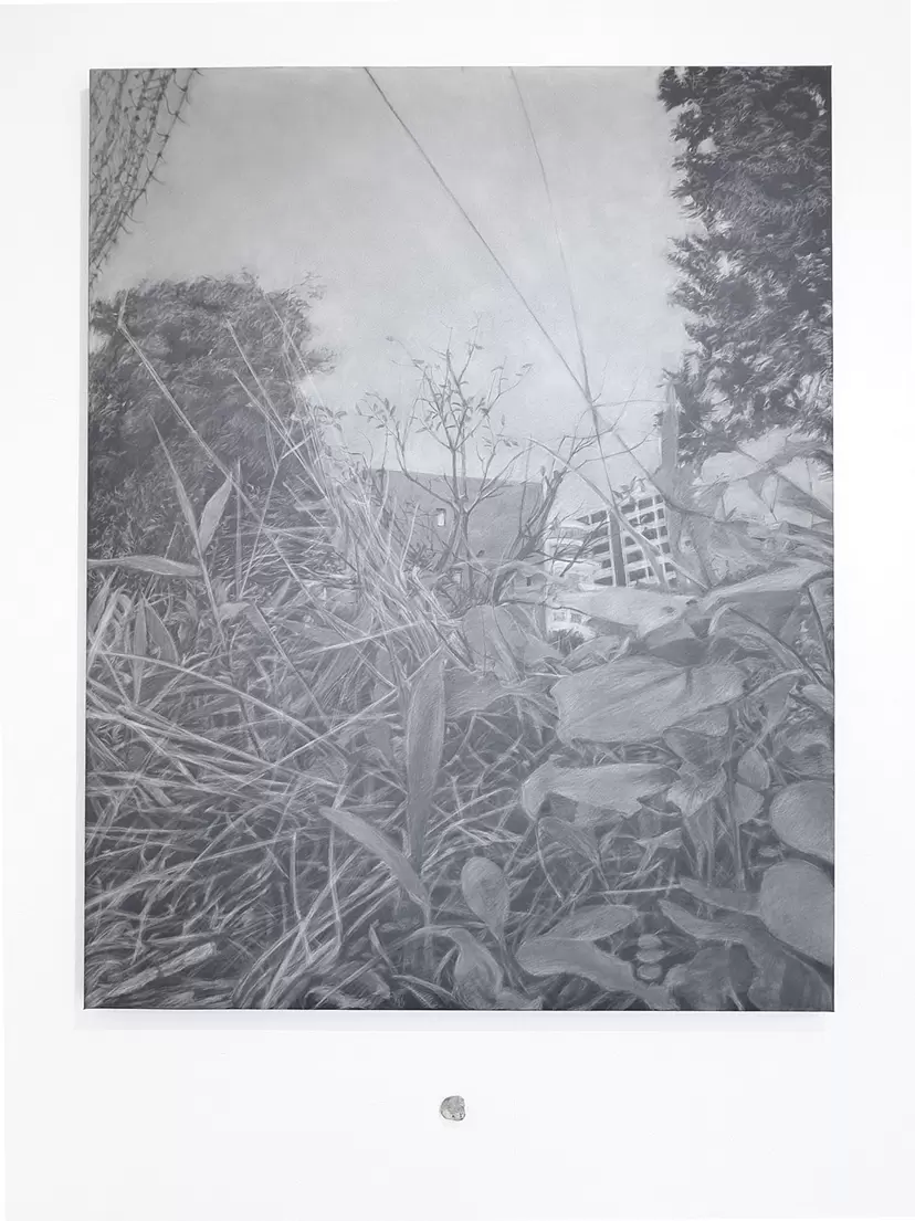 道端の石が見ていた風景 by 藤原史江