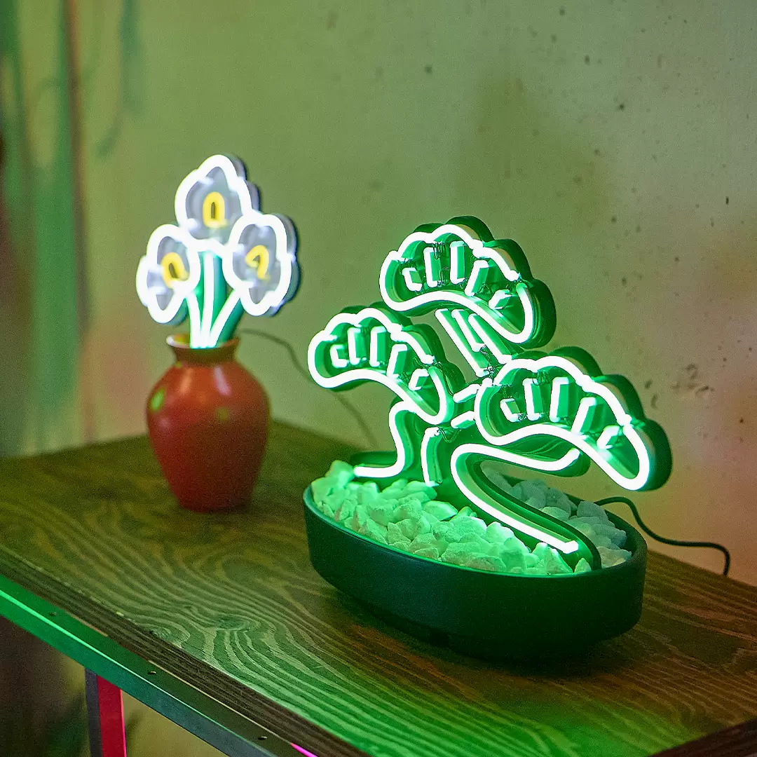 ⭐　盆栽アート アート盆栽（ART BONSAI） 直幹（中）幅30×奥行30×高さ30cm 送料