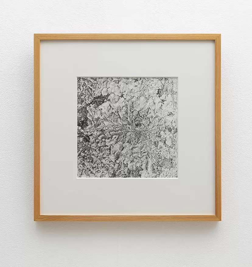 矢部 奈桜子 のアート作品 | 現代アートの販売・通販 | ArtSticker