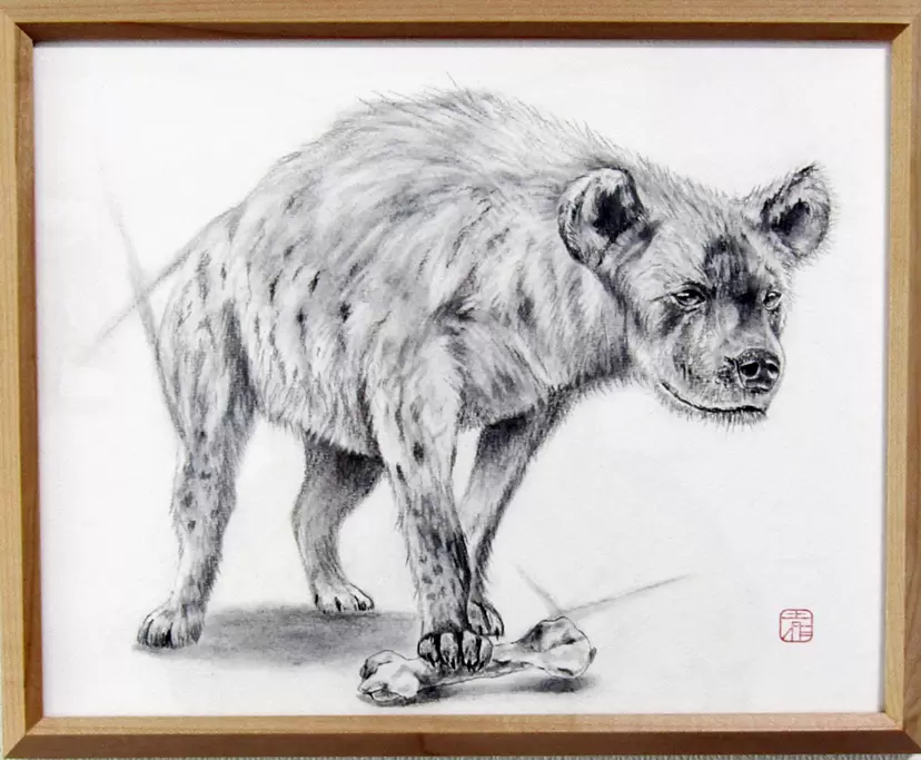 Emotion [hyena]  by 佐藤周作